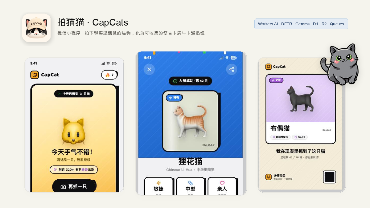 拍猫猫：现实遇见的真猫真狗，化为复古卡牌与卡通贴纸